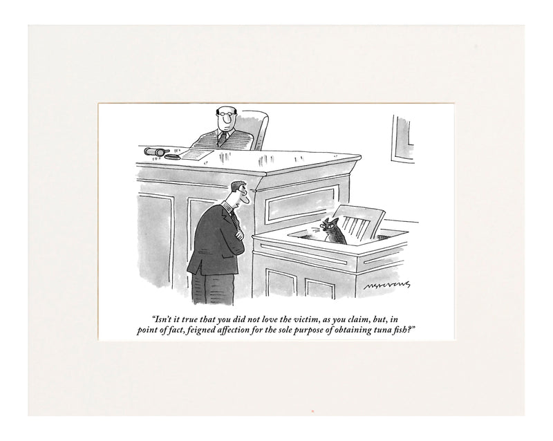 “Isn’t it true that you did not love the victim, as you claim, but, in point of fact, feigned affection for the sole purpose of obtaining tuna fish?” (Lawyer questioning cat in the witness stand.)