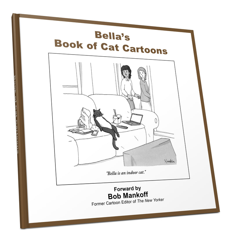 Personalized Cat Cartoon Book