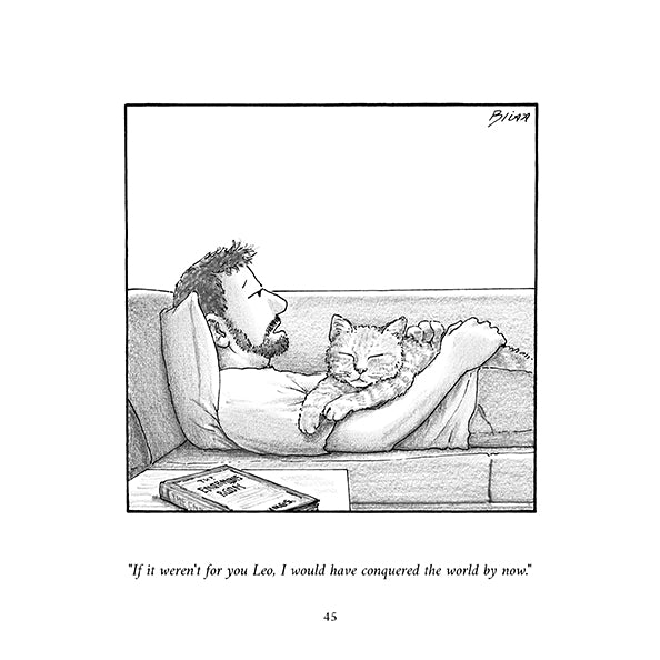 Personalized Cat Cartoon Book